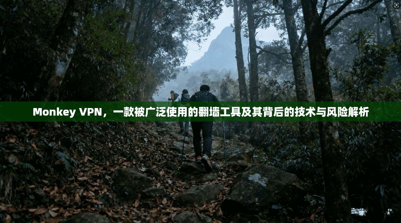 Monkey VPN，一款被广泛使用的翻墙工具及其背后的技术与风险解析