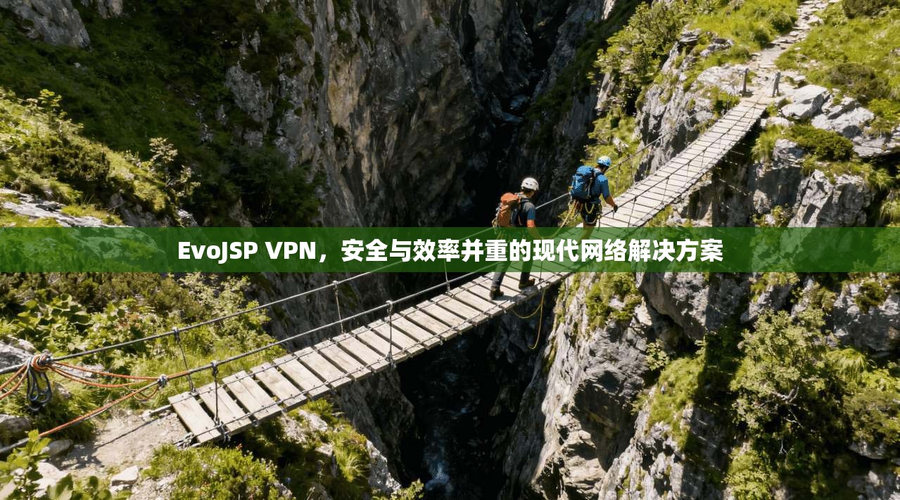 EvoJSP VPN，安全与效率并重的现代网络解决方案