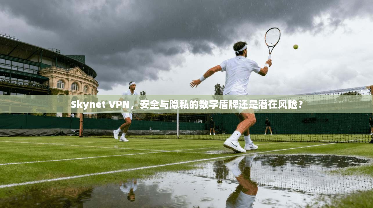 Skynet VPN，安全与隐私的数字盾牌还是潜在风险？
