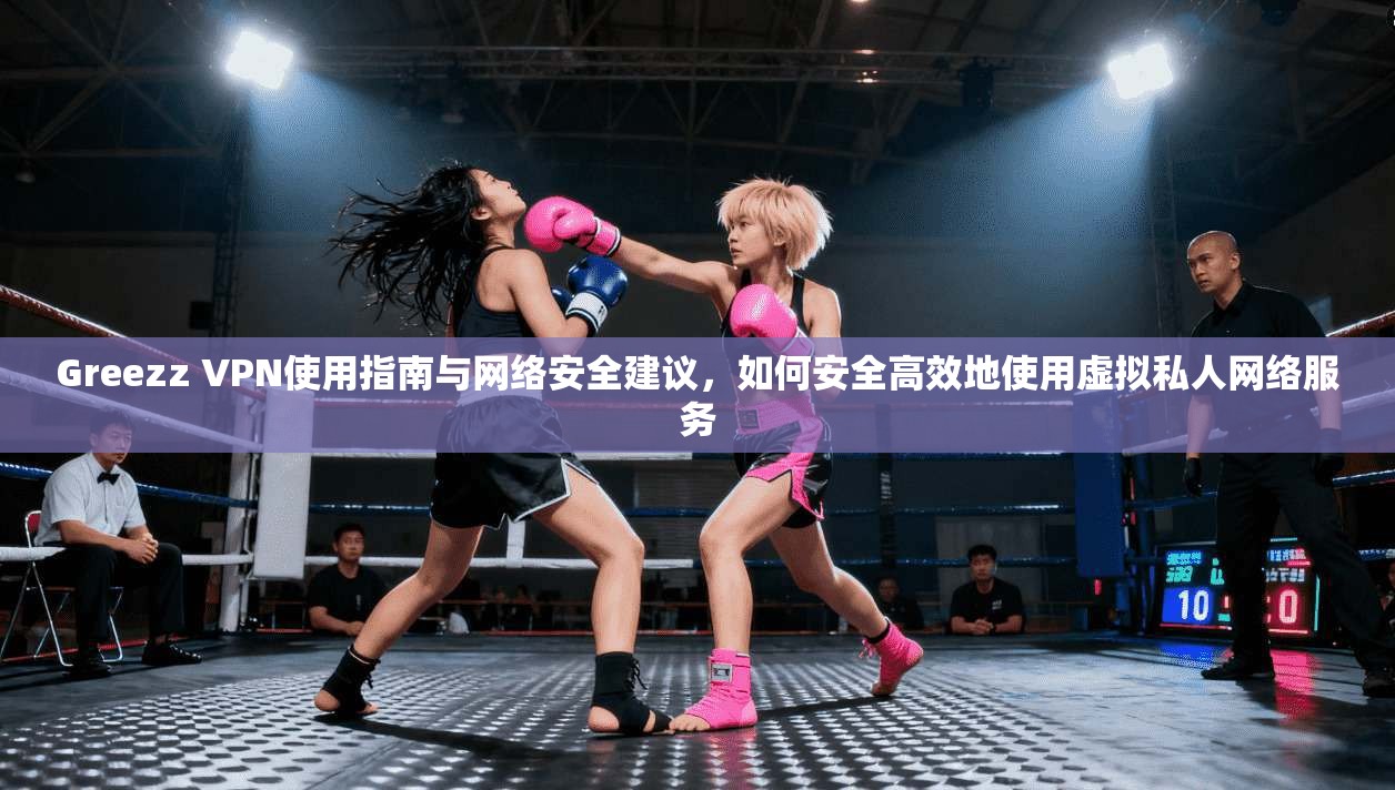 Greezz VPN使用指南与网络安全建议，如何安全高效地使用虚拟私人网络服务