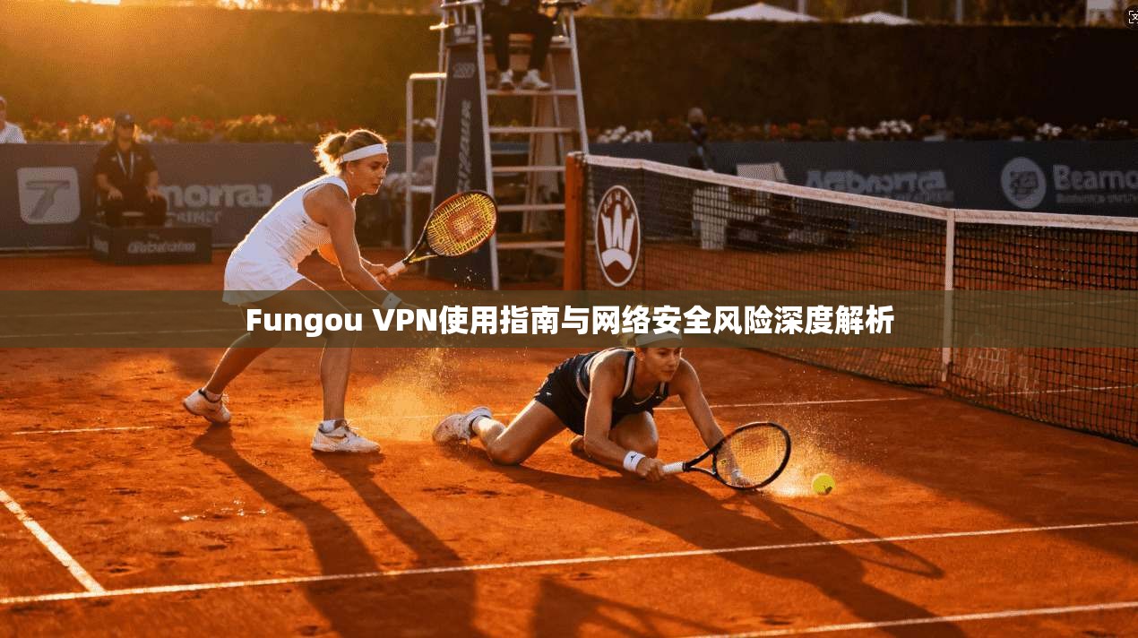 Fungou VPN使用指南与网络安全风险深度解析