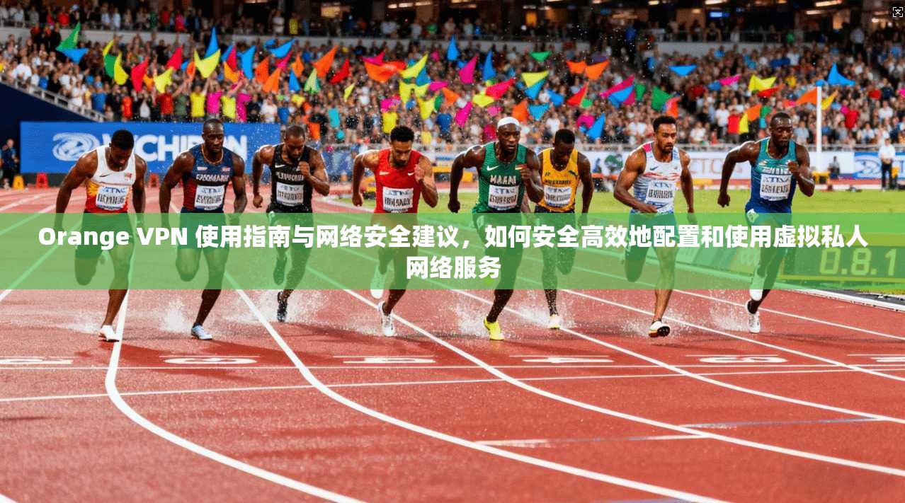 Orange VPN 使用指南与网络安全建议，如何安全高效地配置和使用虚拟私人网络服务