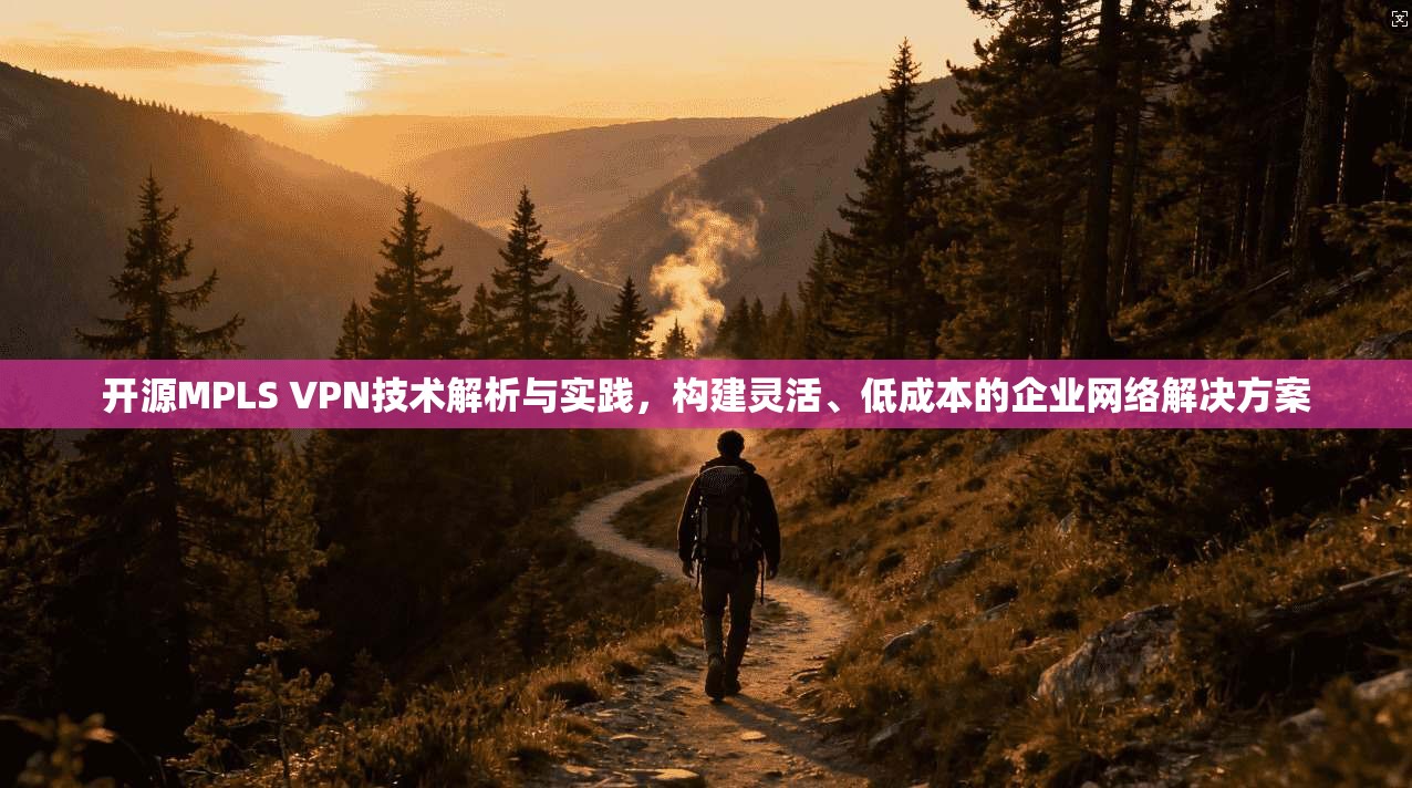 开源MPLS VPN技术解析与实践，构建灵活、低成本的企业网络解决方案