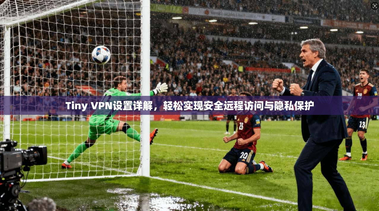 Tiny VPN设置详解，轻松实现安全远程访问与隐私保护