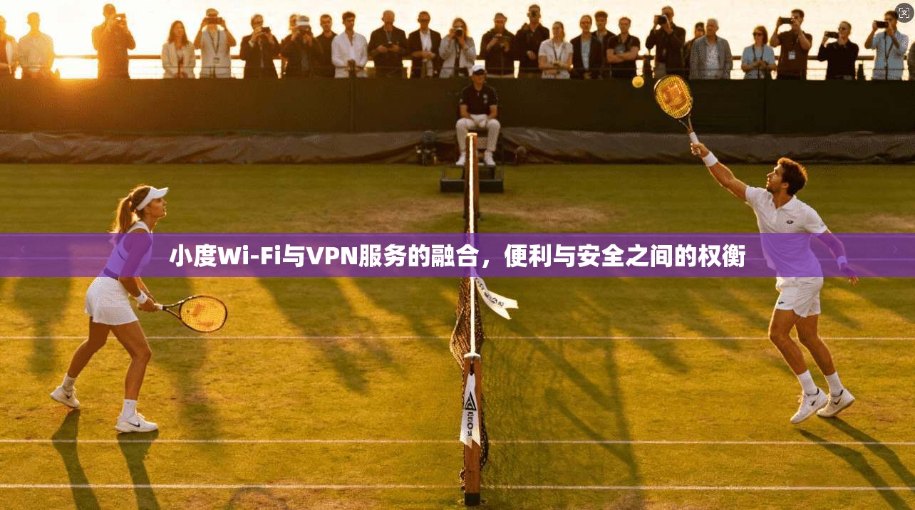 小度Wi-Fi与VPN服务的融合，便利与安全之间的权衡