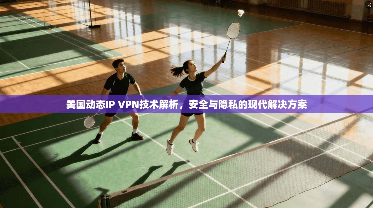 美国动态IP VPN技术解析，安全与隐私的现代解决方案