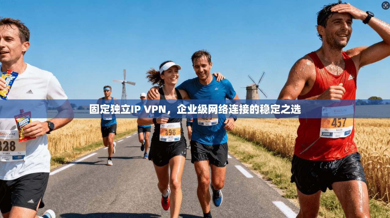 固定独立IP VPN，企业级网络连接的稳定之选