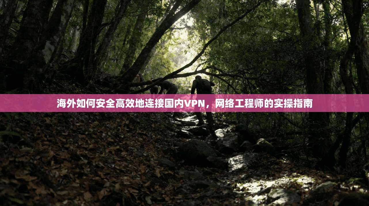 海外如何安全高效地连接国内VPN，网络工程师的实操指南