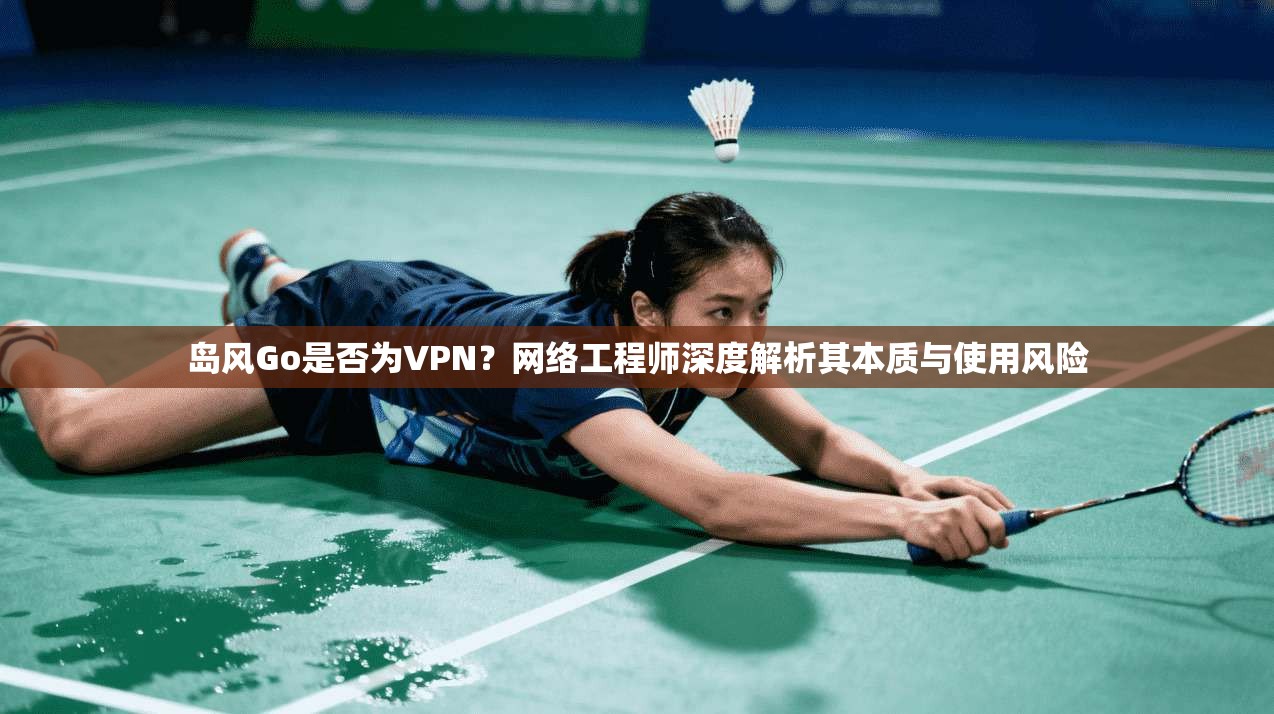 岛风Go是否为VPN？网络工程师深度解析其本质与使用风险