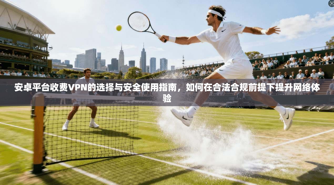 安卓平台收费VPN的选择与安全使用指南，如何在合法合规前提下提升网络体验