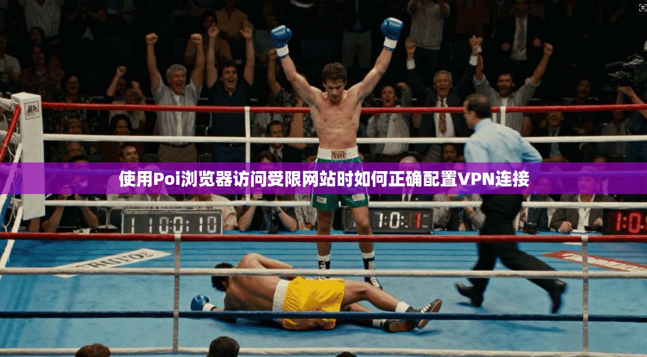 使用Poi浏览器访问受限网站时如何正确配置VPN连接