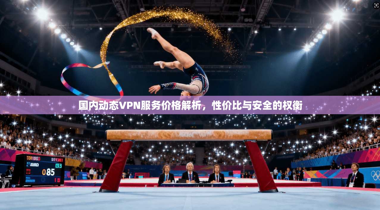 国内动态VPN服务价格解析，性价比与安全的权衡
