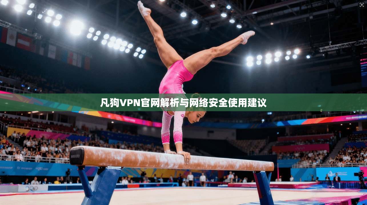 凡狗VPN官网解析与网络安全使用建议