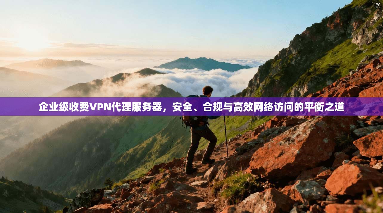企业级收费VPN代理服务器，安全、合规与高效网络访问的平衡之道