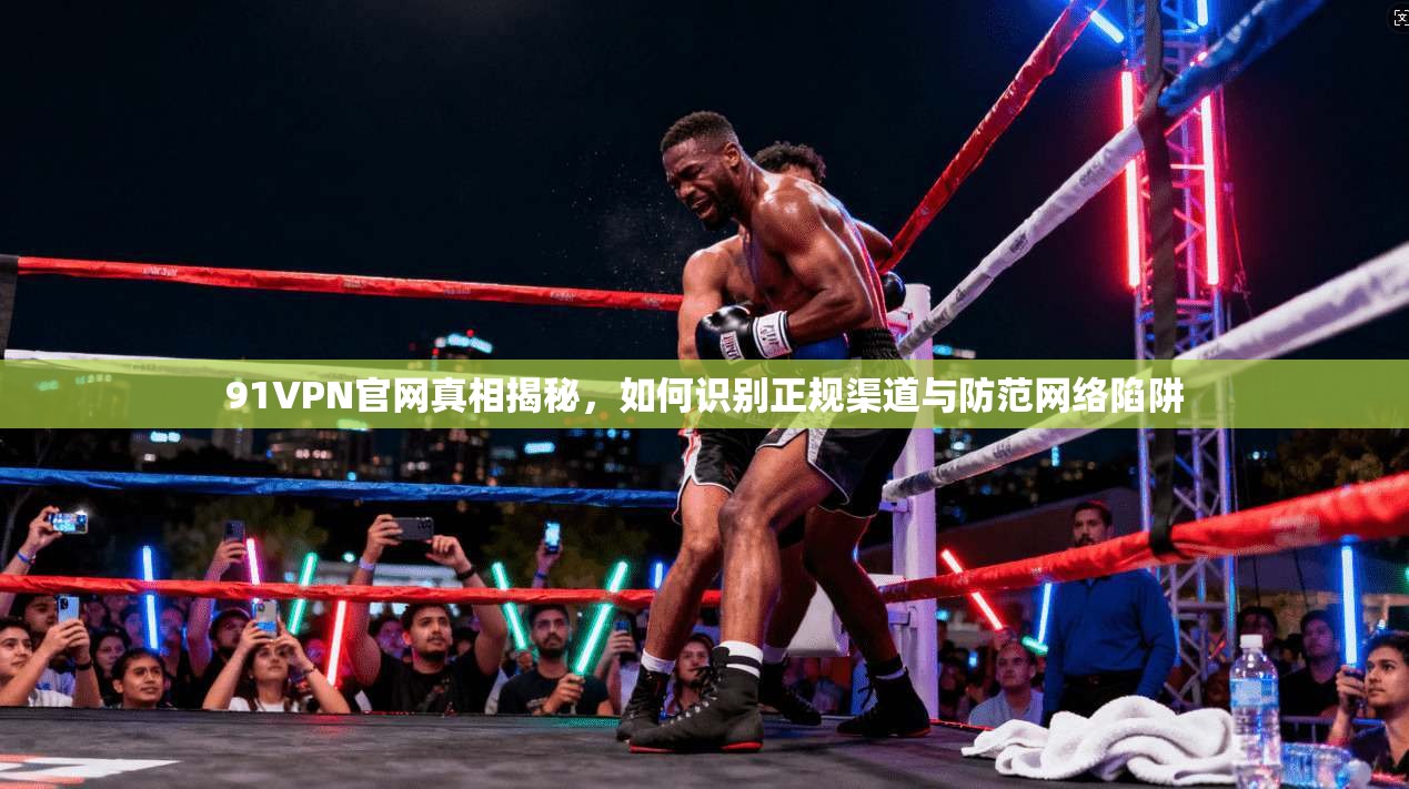 91VPN官网真相揭秘，如何识别正规渠道与防范网络陷阱