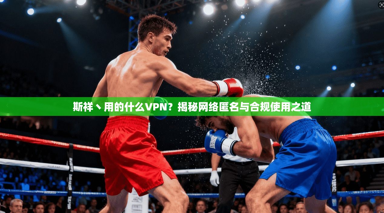 斯祥丶用的什么VPN？揭秘网络匿名与合规使用之道