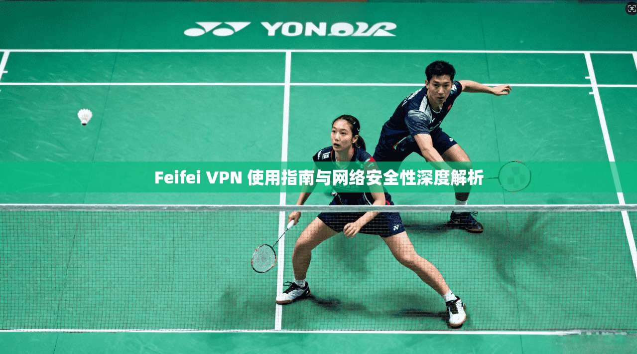 Feifei VPN 使用指南与网络安全性深度解析