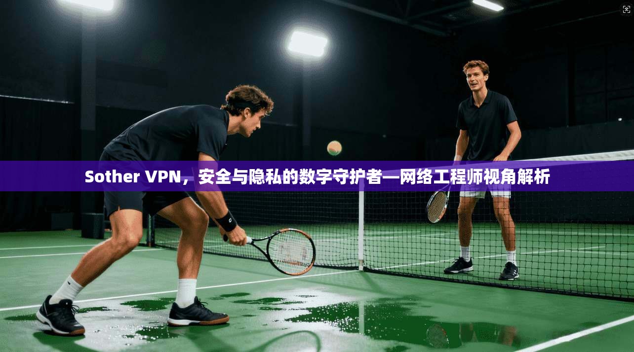 Sother VPN，安全与隐私的数字守护者—网络工程师视角解析