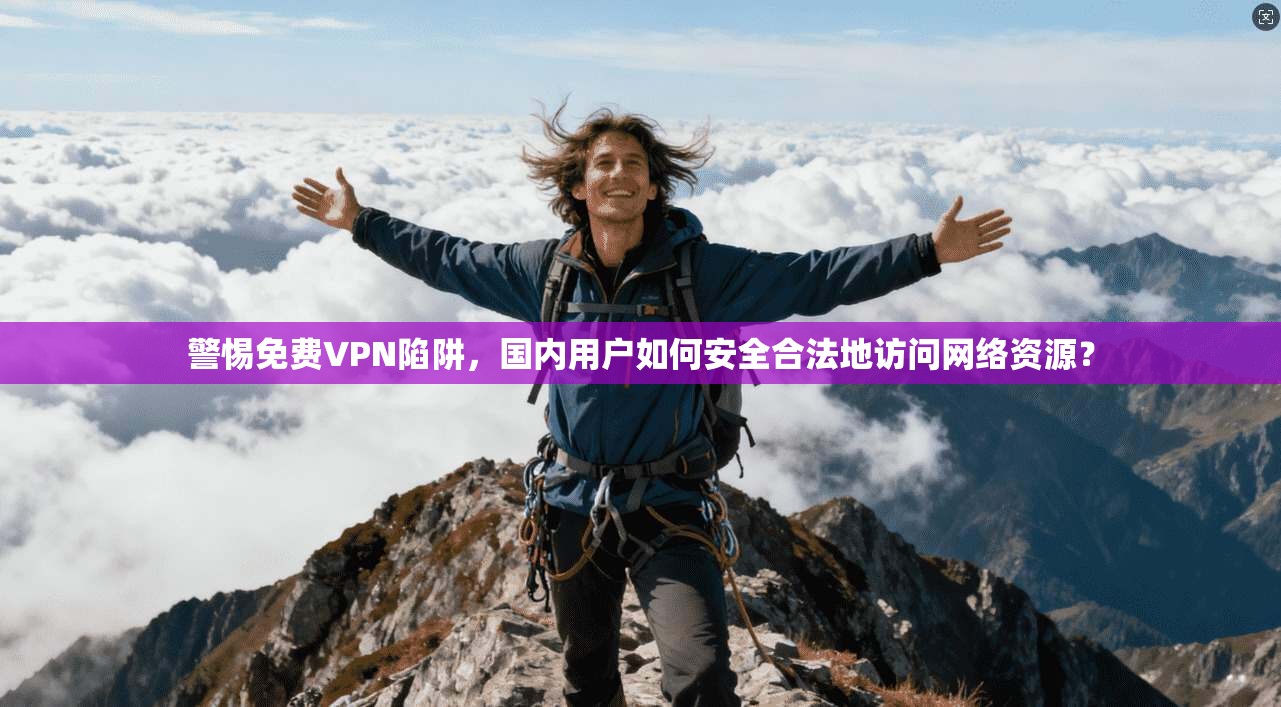 警惕免费VPN陷阱，国内用户如何安全合法地访问网络资源？
