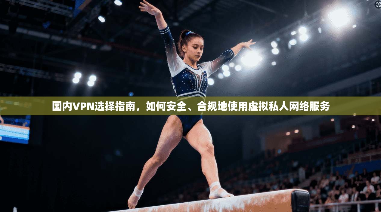 国内VPN选择指南，如何安全、合规地使用虚拟私人网络服务