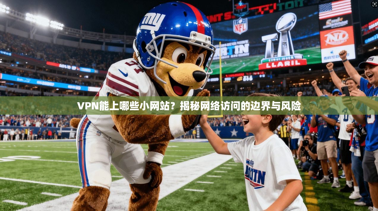 VPN能上哪些小网站？揭秘网络访问的边界与风险