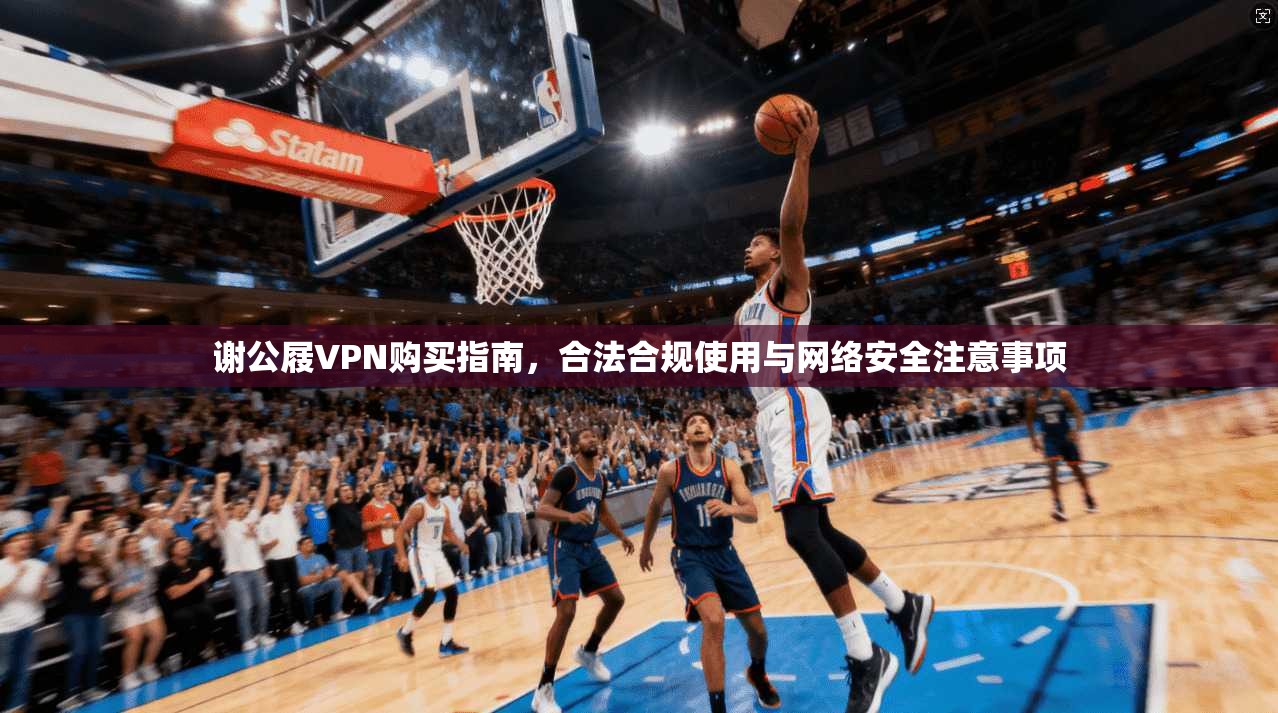 谢公屐VPN购买指南，合法合规使用与网络安全注意事项