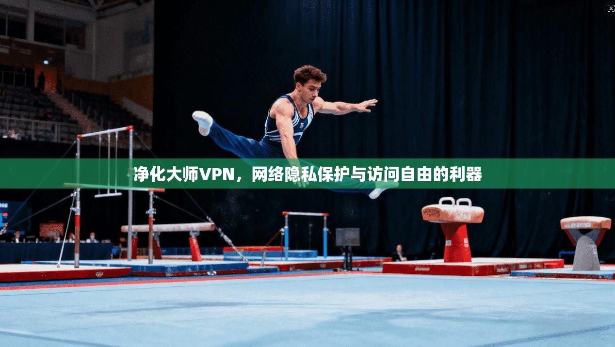净化大师VPN，网络隐私保护与访问自由的利器