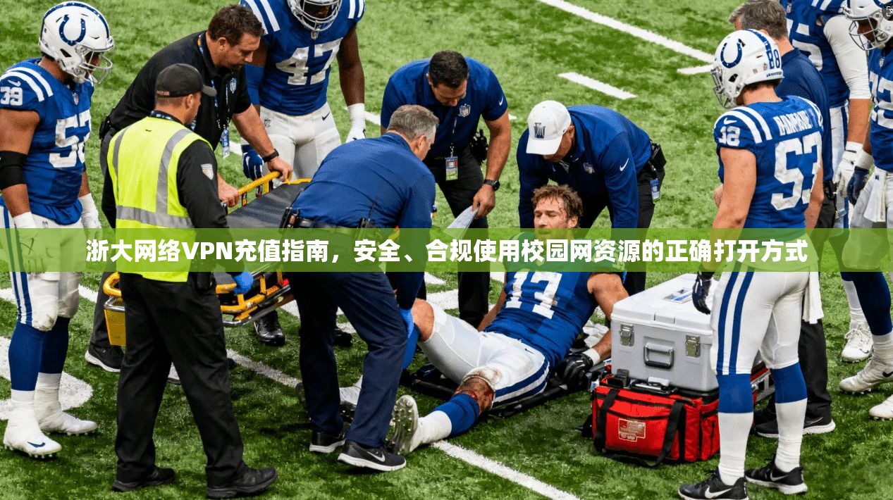 浙大网络VPN充值指南，安全、合规使用校园网资源的正确打开方式
