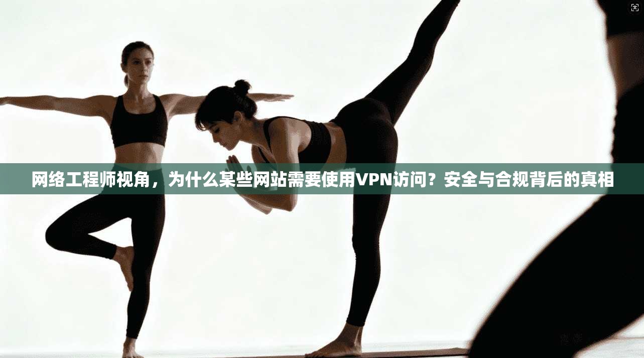 网络工程师视角，为什么某些网站需要使用VPN访问？安全与合规背后的真相