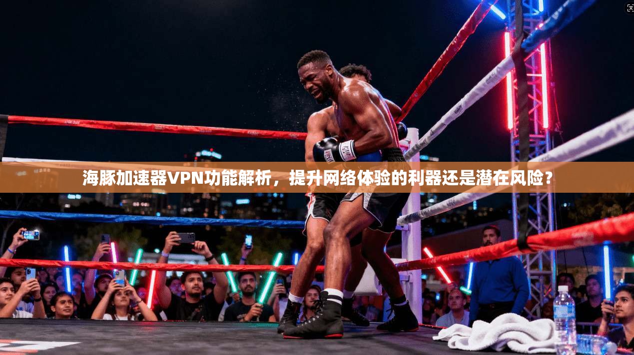 海豚加速器VPN功能解析，提升网络体验的利器还是潜在风险？
