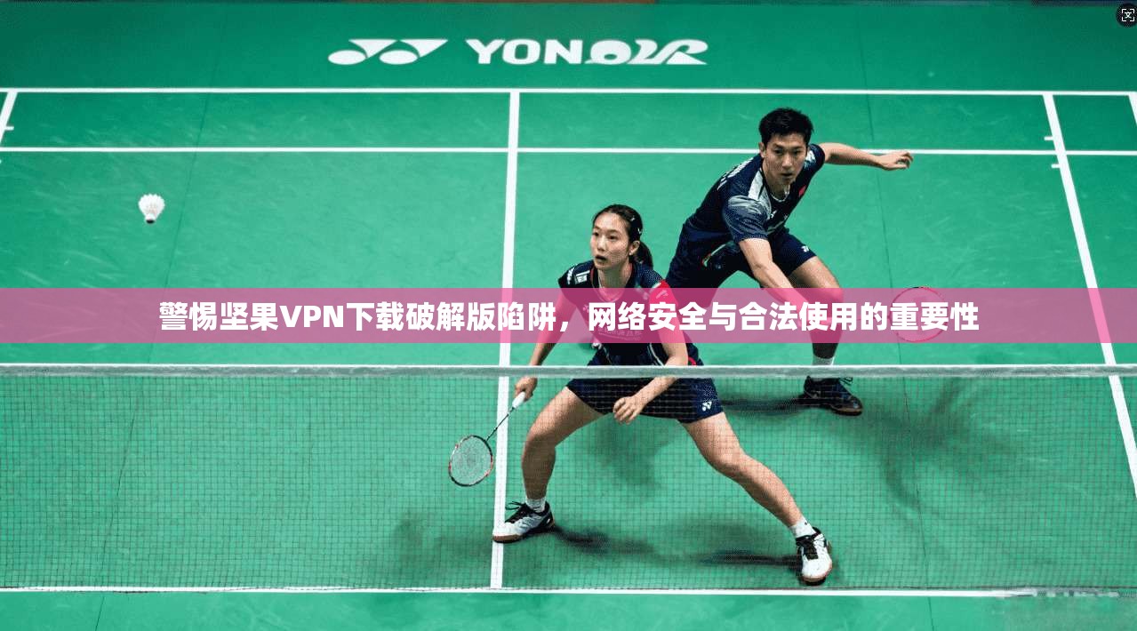 警惕坚果VPN下载破解版陷阱，网络安全与合法使用的重要性