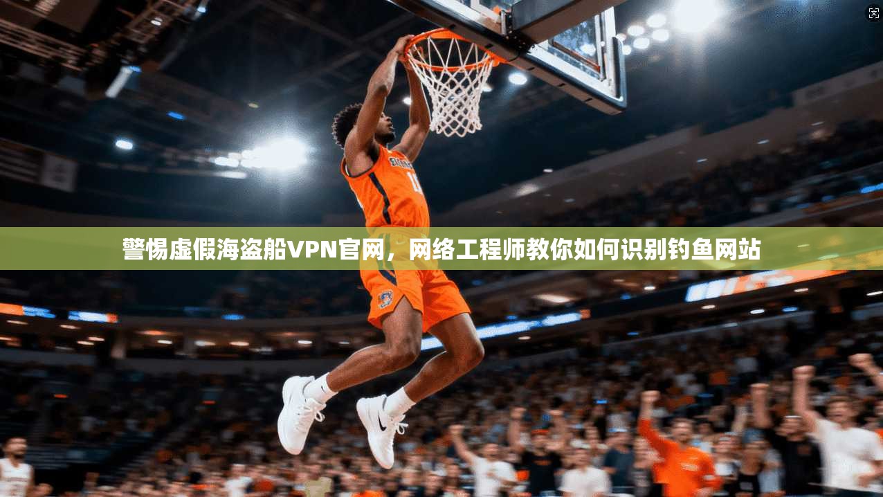 警惕虚假海盗船VPN官网，网络工程师教你如何识别钓鱼网站