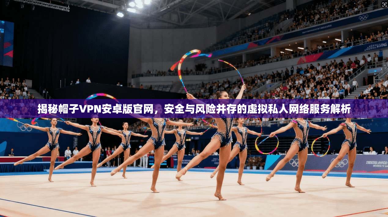 揭秘帽子VPN安卓版官网，安全与风险并存的虚拟私人网络服务解析
