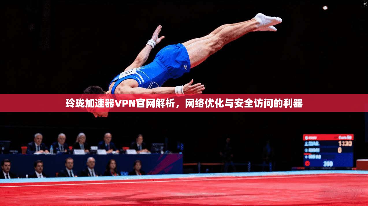 玲珑加速器VPN官网解析，网络优化与安全访问的利器