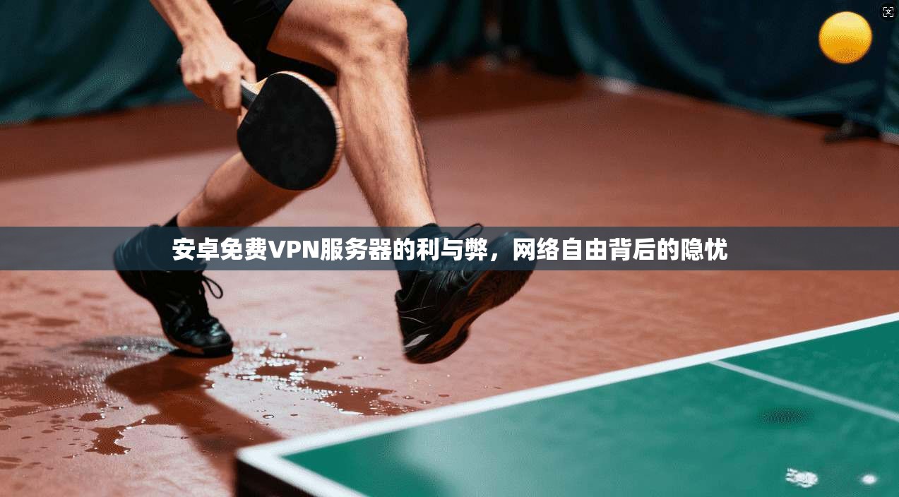 安卓免费VPN服务器的利与弊，网络自由背后的隐忧