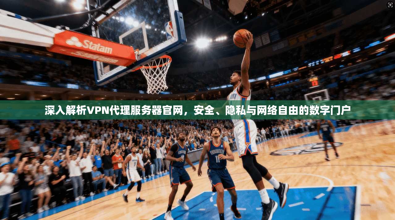深入解析VPN代理服务器官网，安全、隐私与网络自由的数字门户