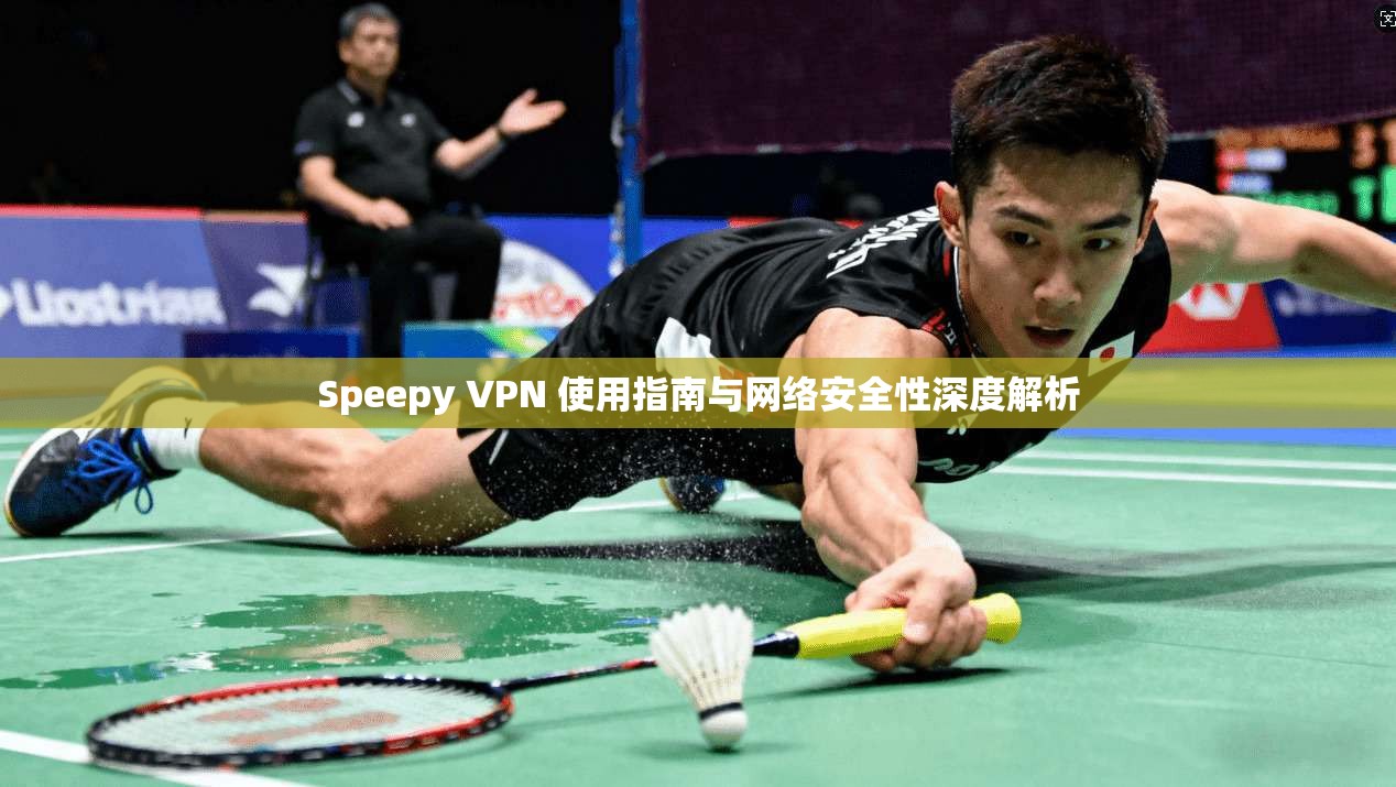 Speepy VPN 使用指南与网络安全性深度解析