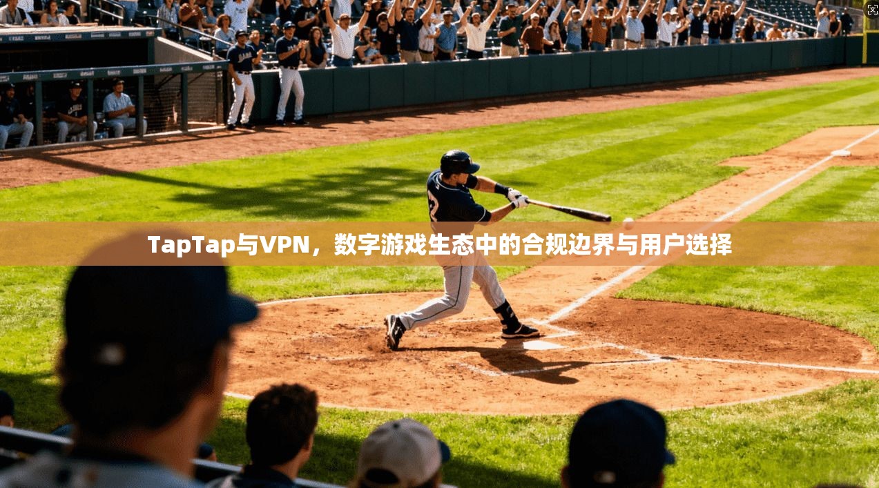 TapTap与VPN，数字游戏生态中的合规边界与用户选择