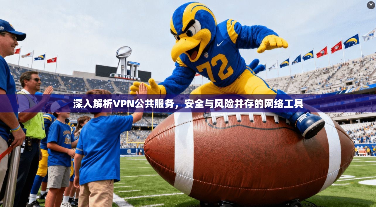 深入解析VPN公共服务，安全与风险并存的网络工具