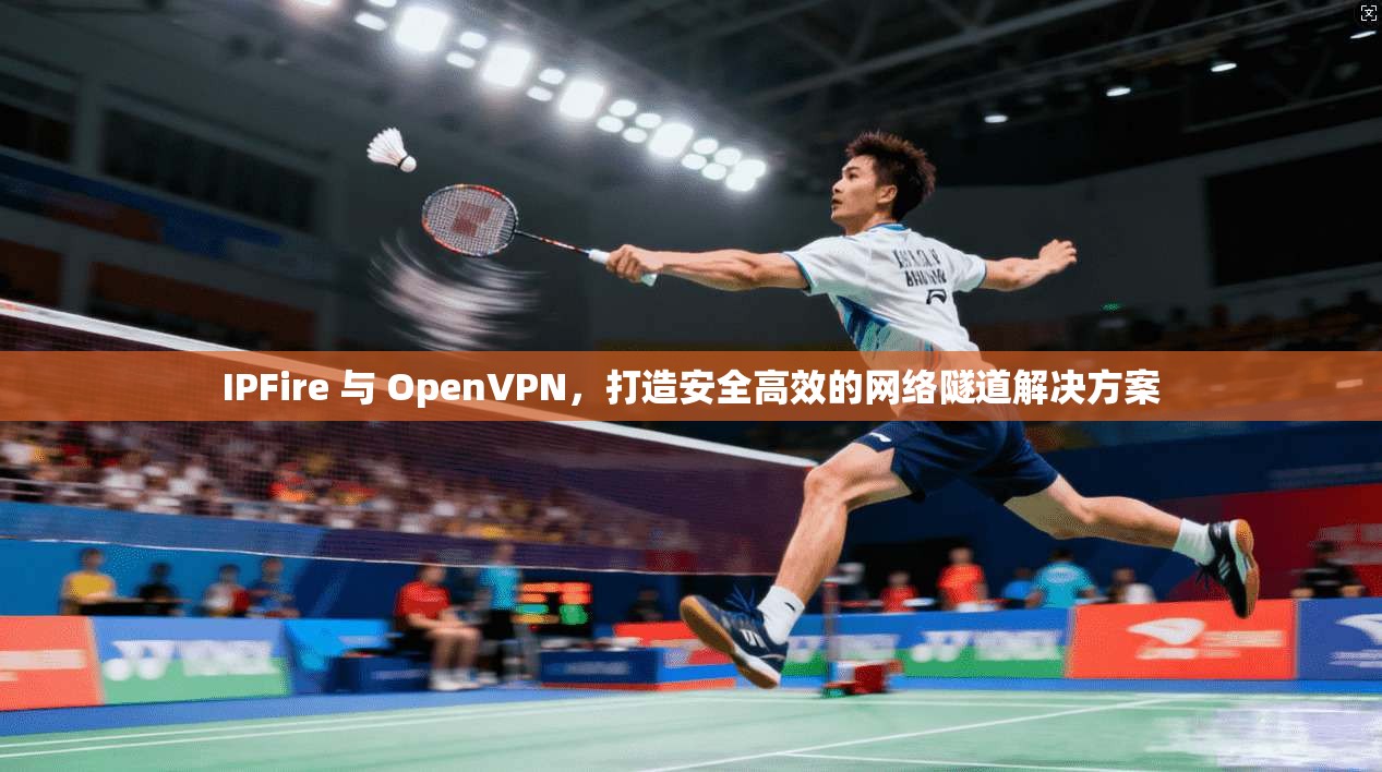 IPFire 与 OpenVPN，打造安全高效的网络隧道解决方案