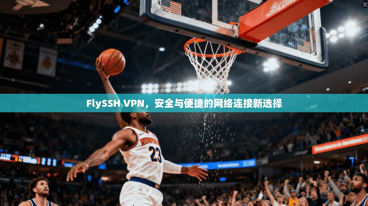 FlySSH VPN，安全与便捷的网络连接新选择