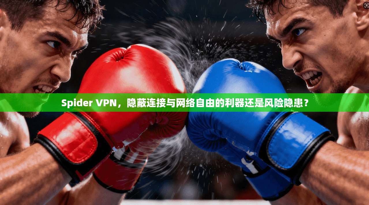 Spider VPN，隐蔽连接与网络自由的利器还是风险隐患？