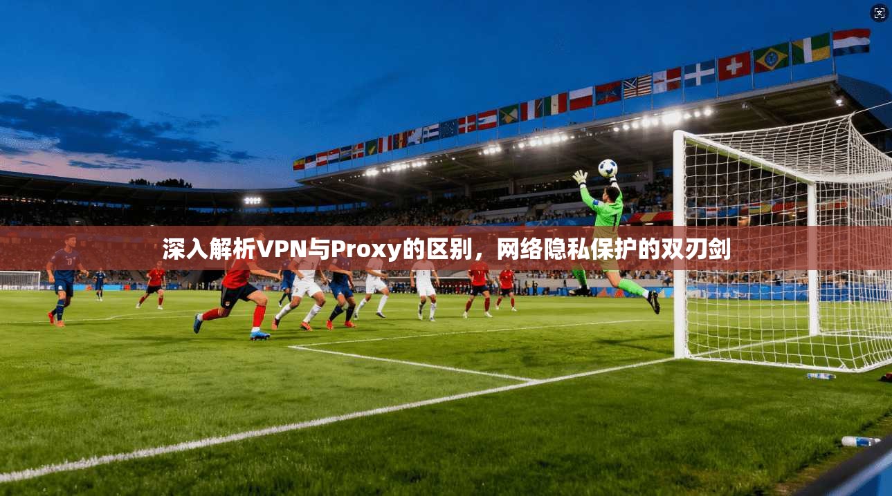 深入解析VPN与Proxy的区别，网络隐私保护的双刃剑