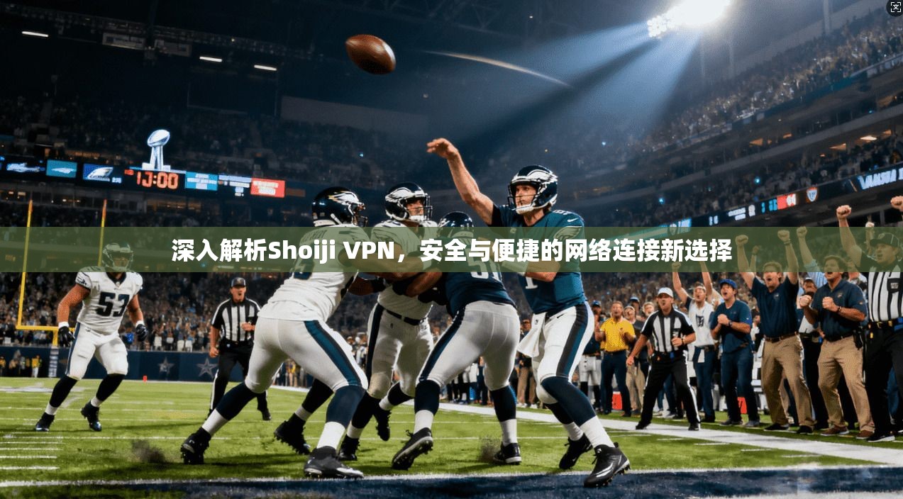 深入解析Shoiji VPN，安全与便捷的网络连接新选择