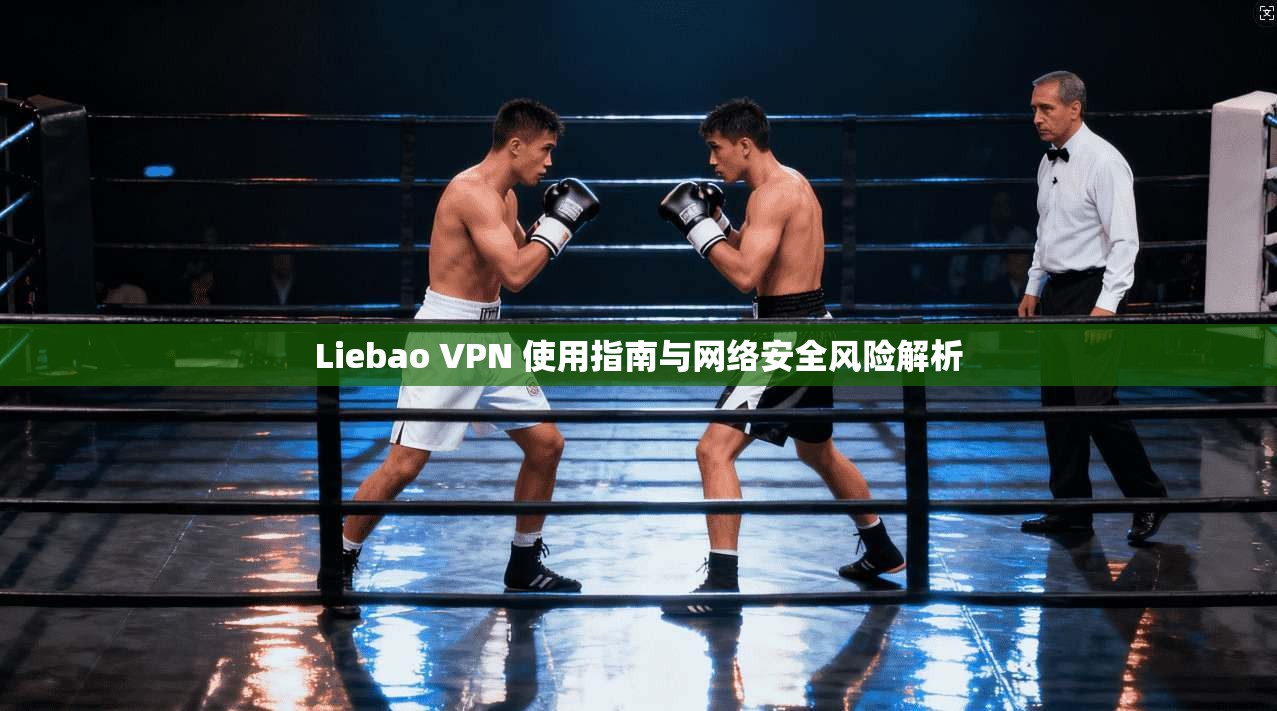 Liebao VPN 使用指南与网络安全风险解析