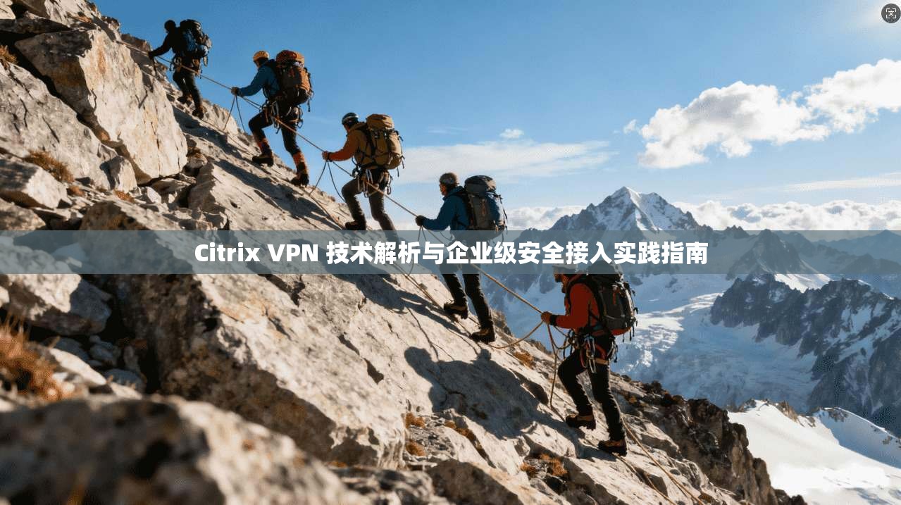 Citrix VPN 技术解析与企业级安全接入实践指南