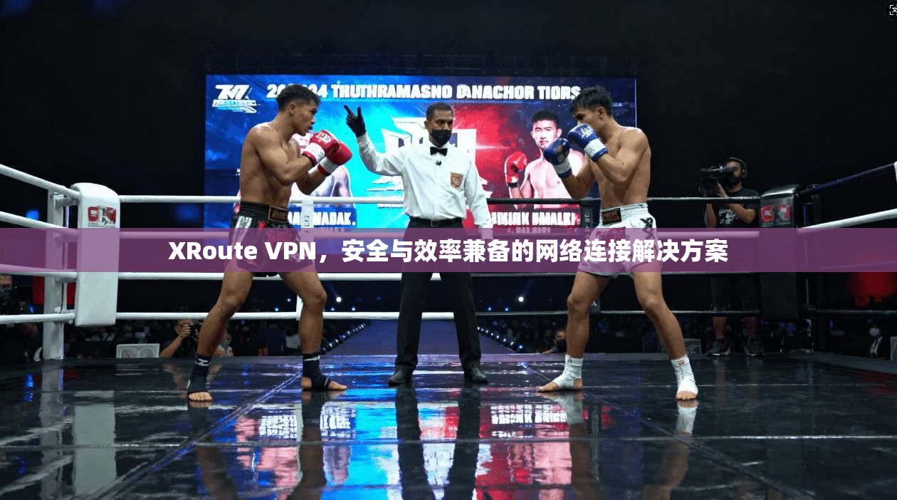 XRoute VPN，安全与效率兼备的网络连接解决方案