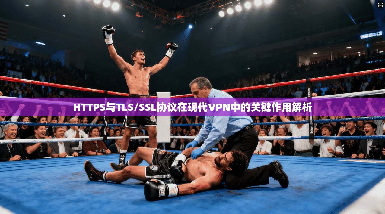 HTTPS与TLS/SSL协议在现代VPN中的关键作用解析
