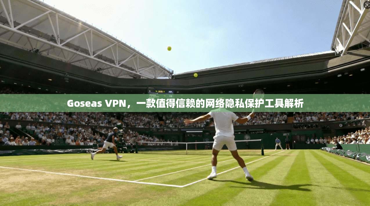 Goseas VPN，一款值得信赖的网络隐私保护工具解析