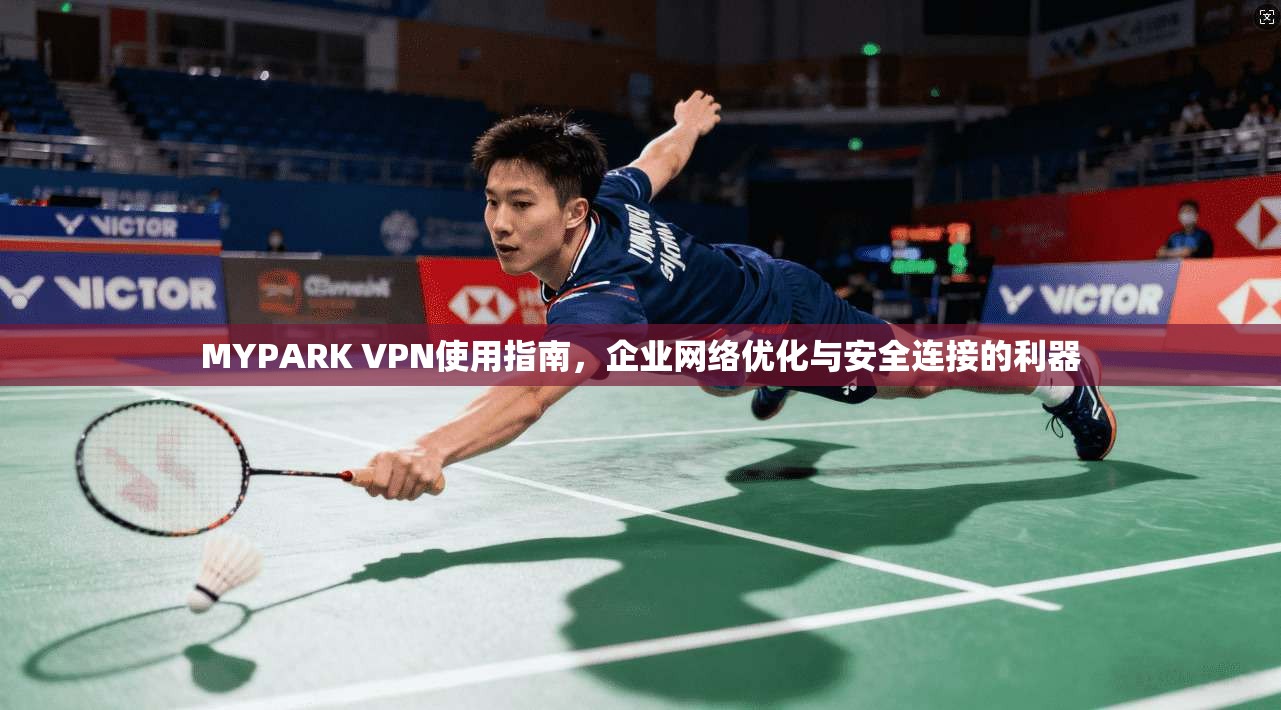 MYPARK VPN使用指南，企业网络优化与安全连接的利器